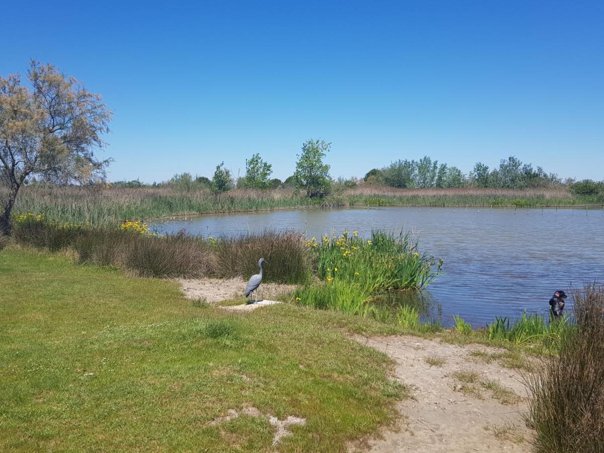 Le Mas De Mon Pere Saintes-Maries-de-la-Mer Exteriör bild