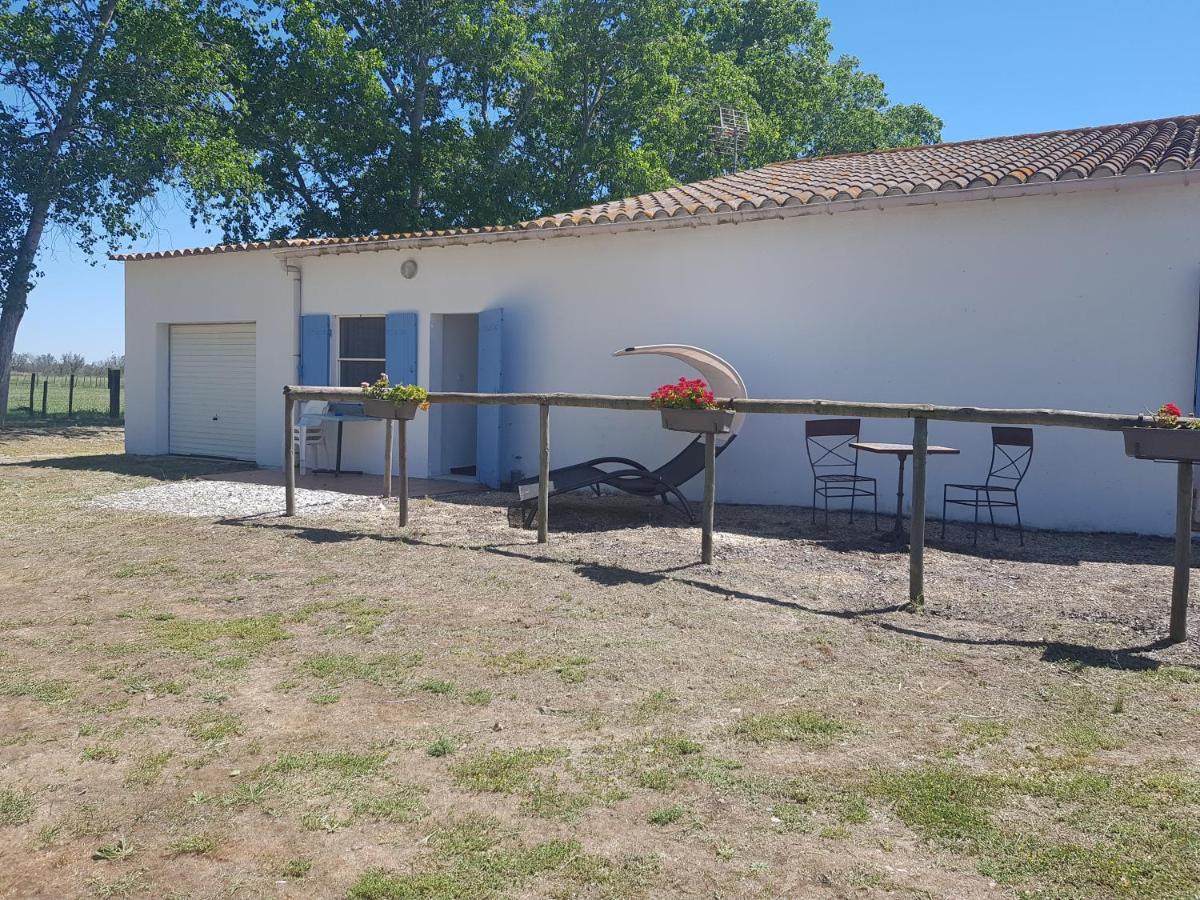 Le Mas De Mon Pere Saintes-Maries-de-la-Mer Exteriör bild